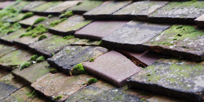 Portbury roof repair costs
